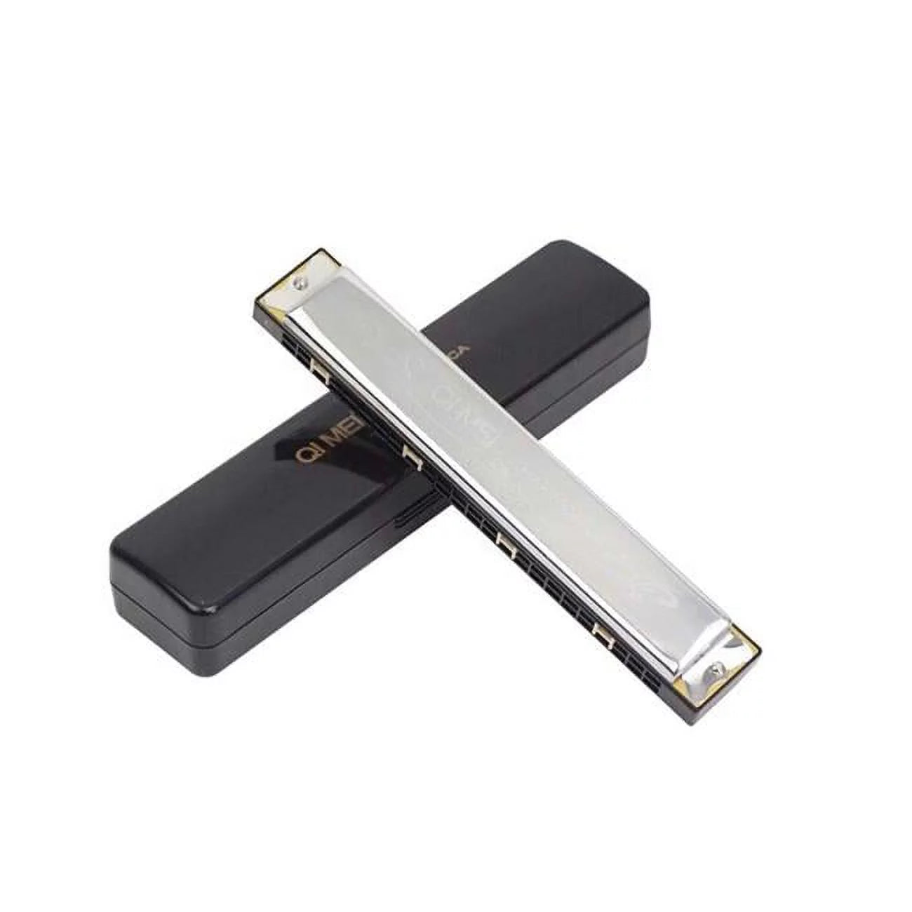 Panda Superstore PS-MUS11972961-JOE00961 24 Holes Harmonica in C for Beginners, Silver