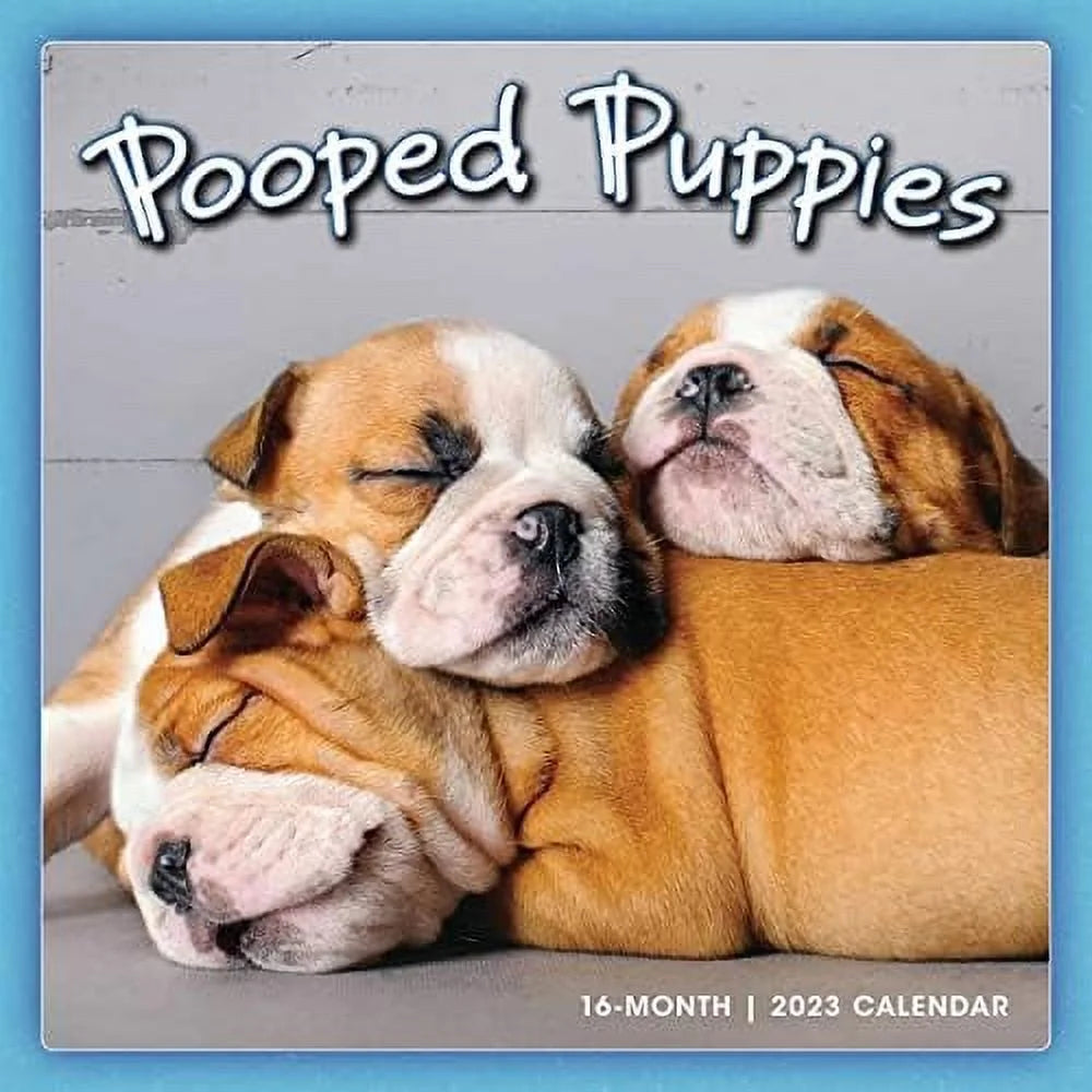 Pooped Puppies 2023 Wall Calendar, 16-Month Dog Calendar, 12 X 12