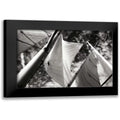Hausenflock, Alan 24x17 Black Modern Framed Museum Art Print Titled - The Woodwind I