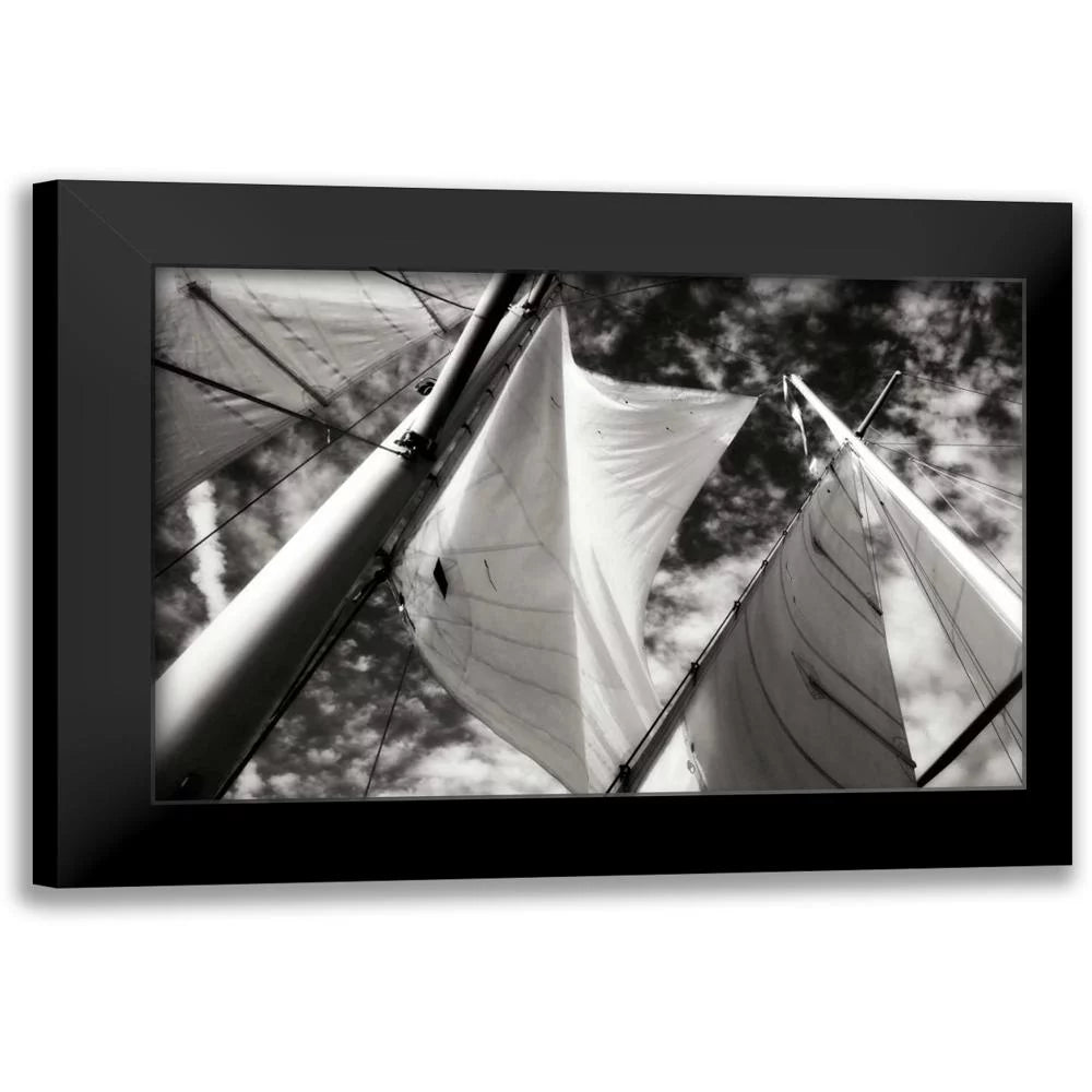 Hausenflock, Alan 24x17 Black Modern Framed Museum Art Print Titled - The Woodwind I