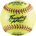 Dudley WT12Y-FP 12 Inch FastPitch Softball