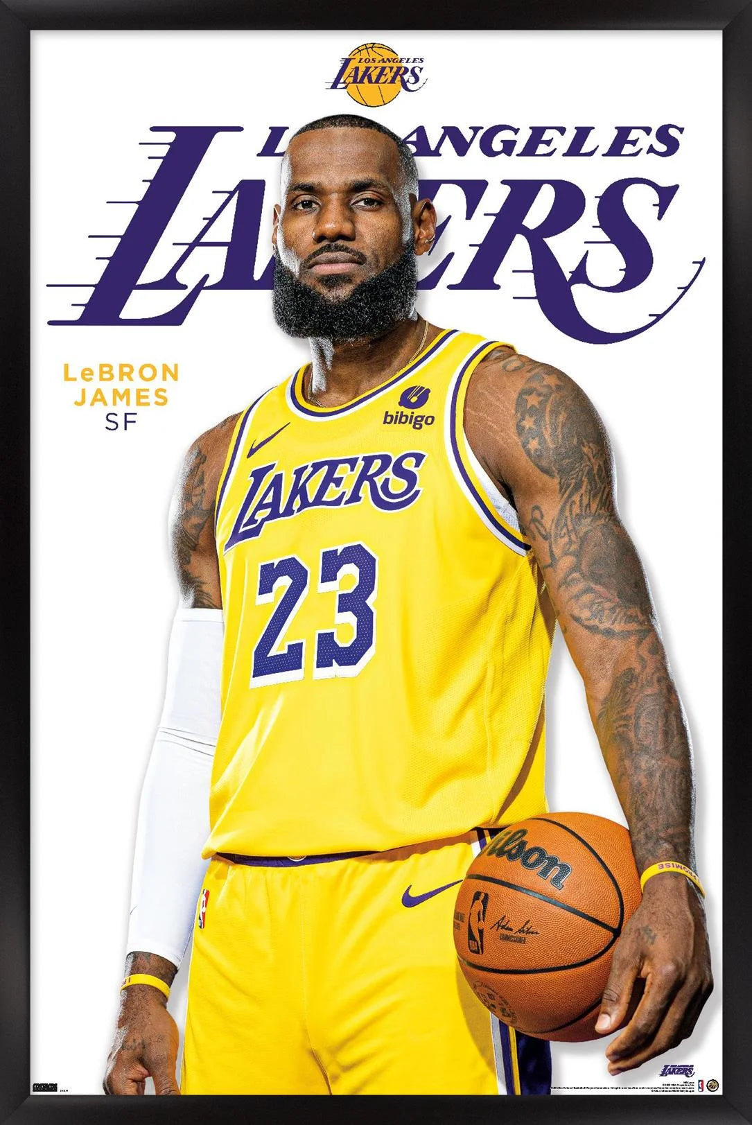 NBA Los Angeles Lakers - LeBron James Feature Series 23 Wall Poster, 14.725 x 22.375 Framed