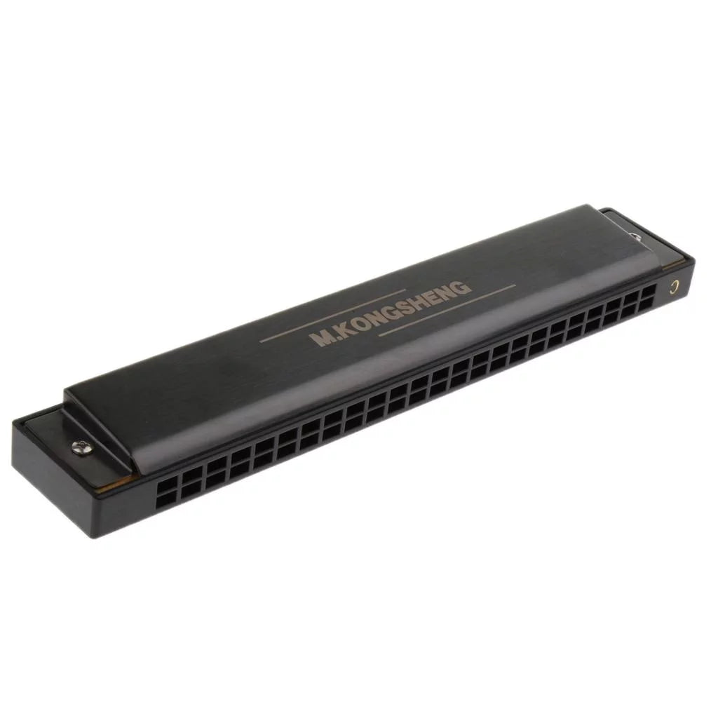 Professional 24-hole tremolo harmonica for students, matt black