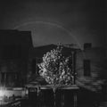 Open City - Hands In The Honey Jar - Vinyl