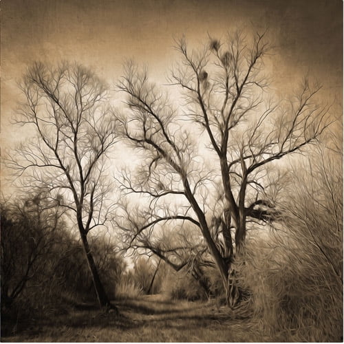 Trademark Fine Art Sepia Ghost Canvas Art by Philippe Sainte-Laudy