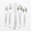 Ginkgo International Sea Drift 20-Piece Stainless Steel Flatware Place Setting, Service for 4