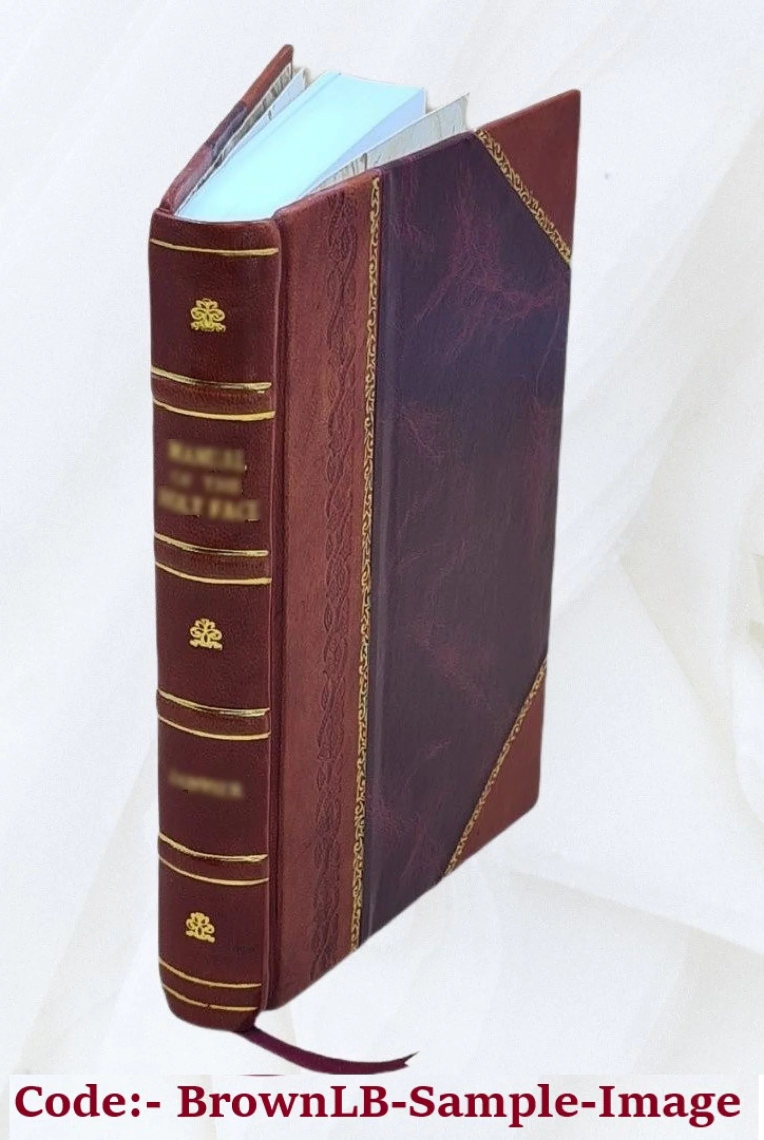 WVA Turnpike upgrading, Princeton to Charleston : environmental impact statement. Volume F 1970 [Leather Bound]